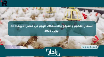 أسعار اللحوم والفراخ والأسماك اليوم في مصر الأربعاء 23 أبريل 2025